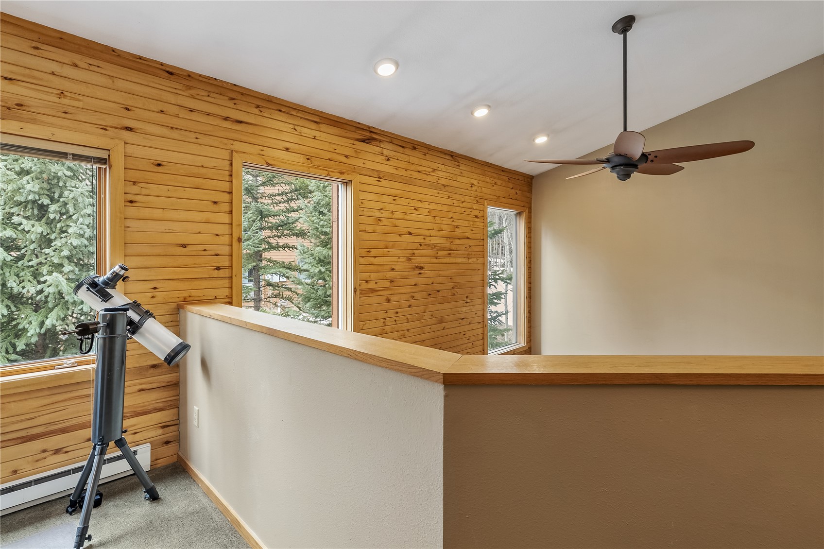 53 Burgundy Circle Silverthorne CO 80498