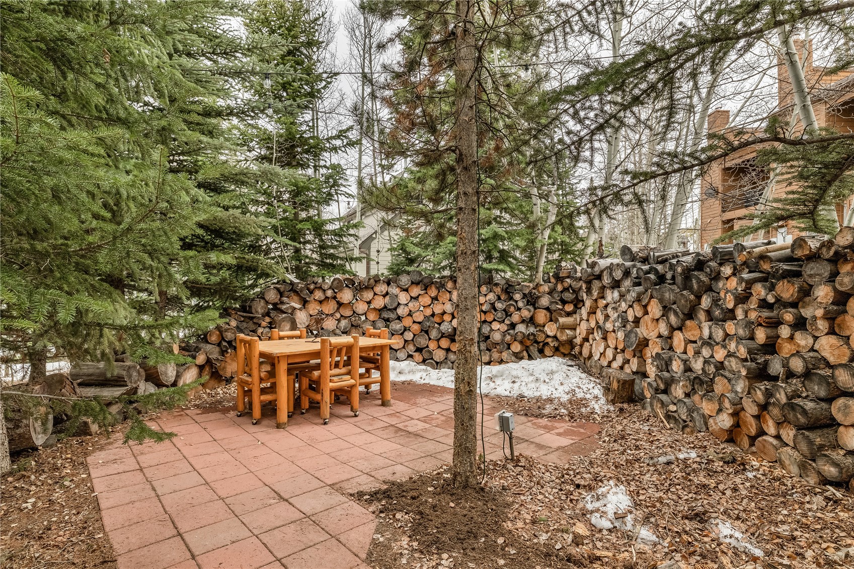 53 Burgundy Circle Silverthorne CO 80498