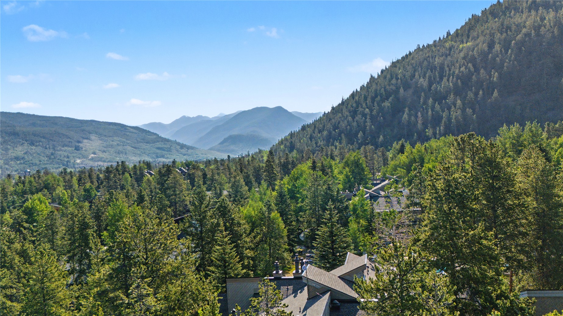100 Wild Irishman Road Keystone CO 80435