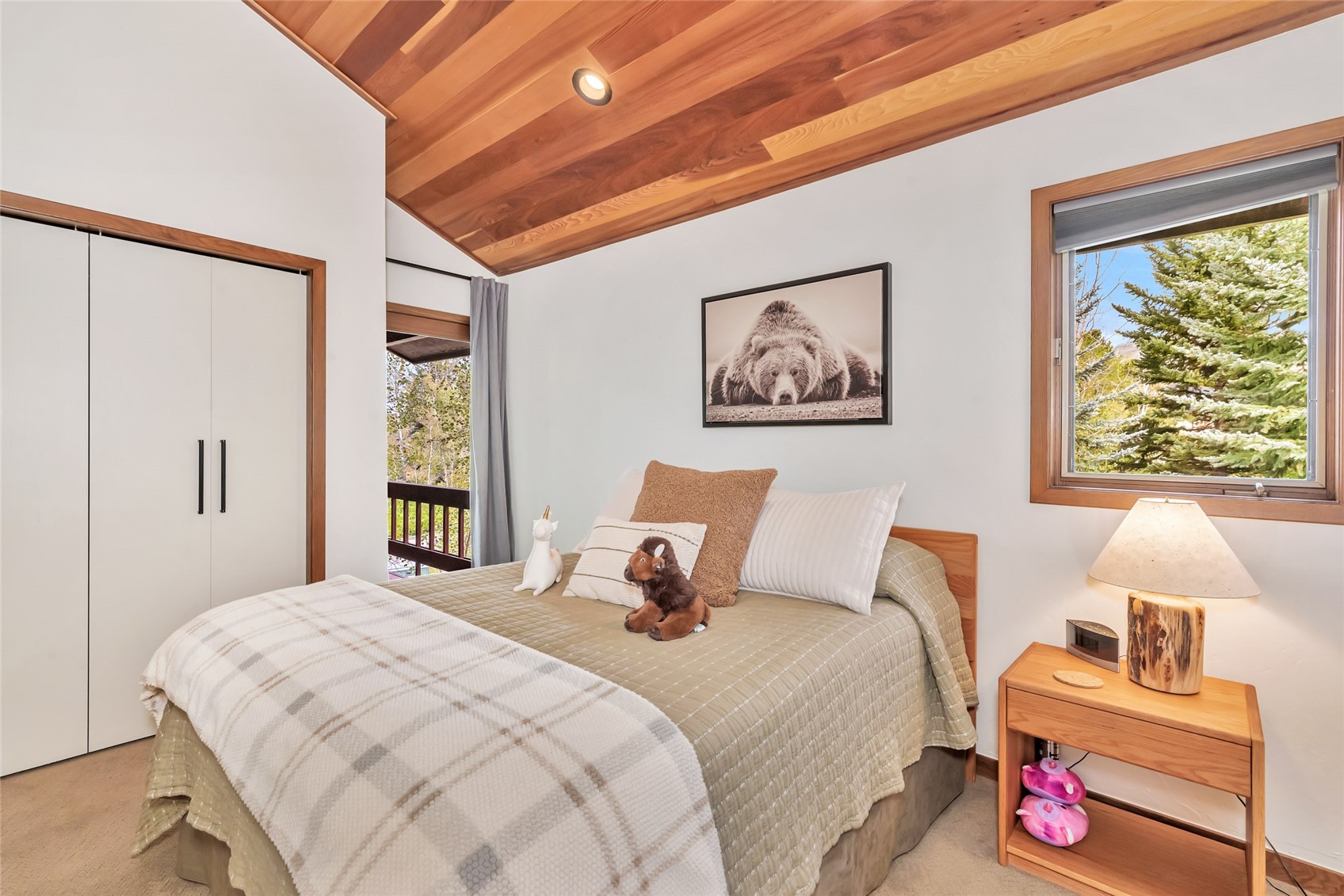 1123 Redwoods Drive Steamboat Springs CO 80487