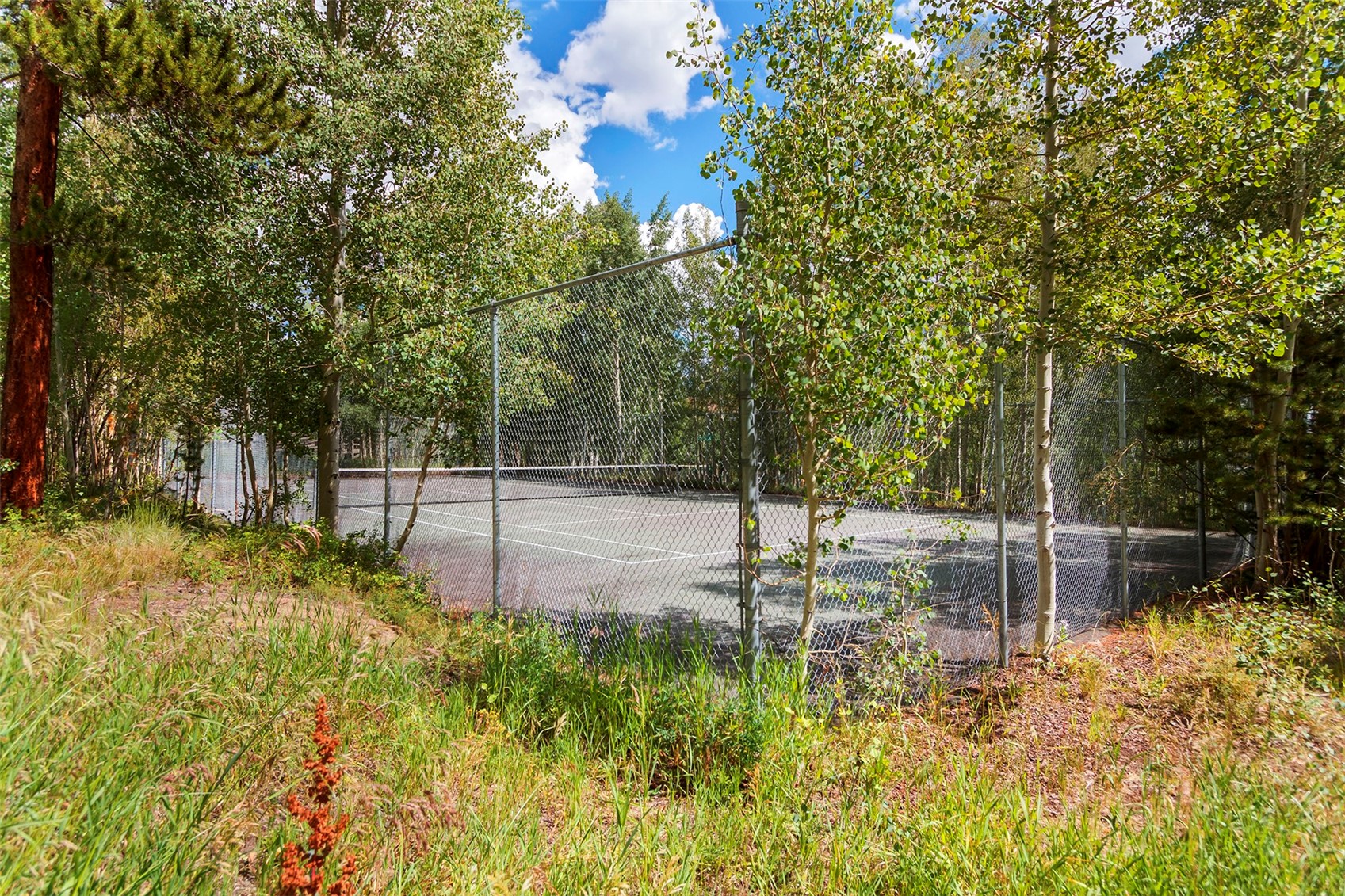 8100 Ryan Gulch Road Silverthorne CO 80498