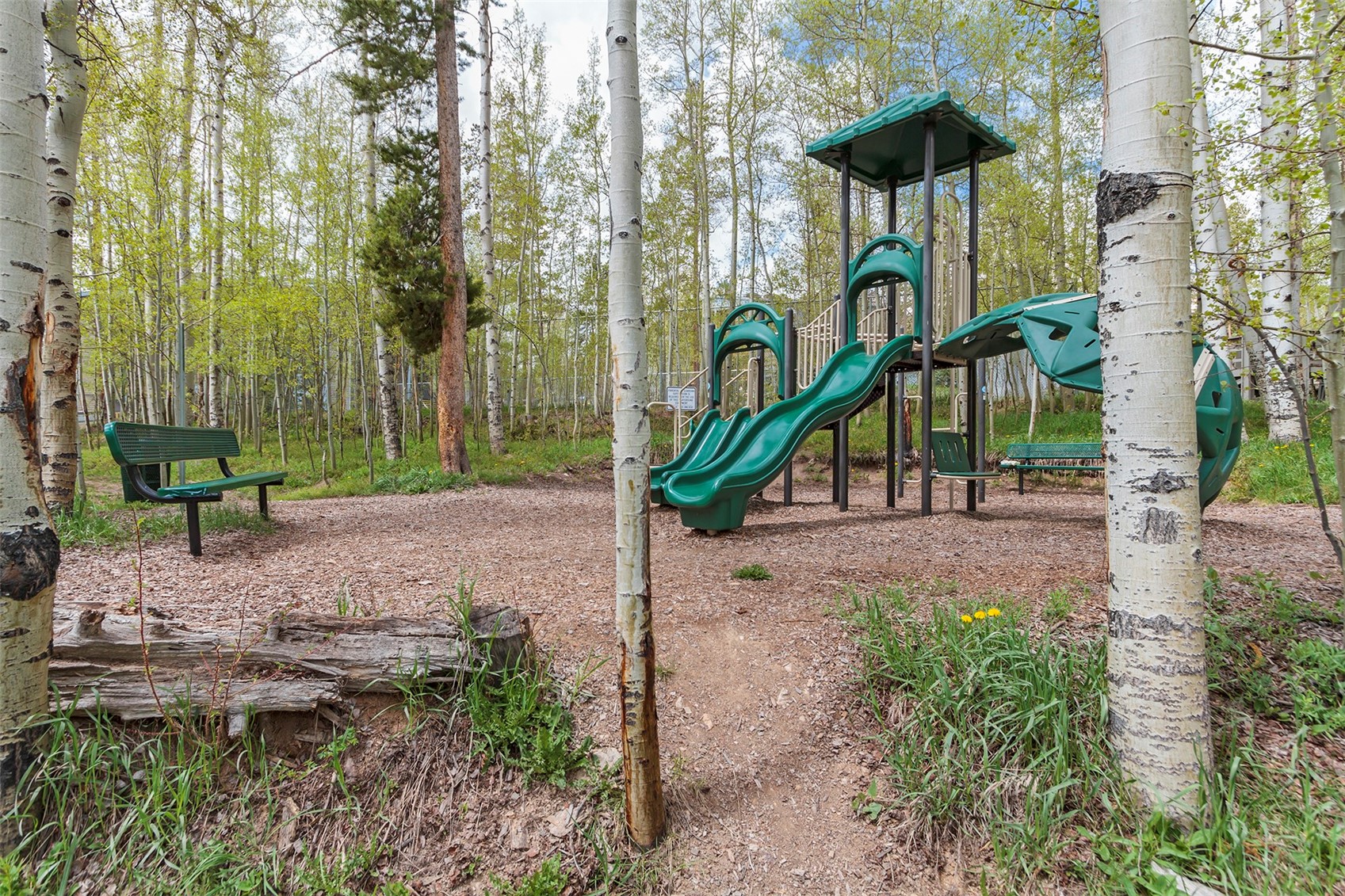8100 Ryan Gulch Road Silverthorne CO 80498