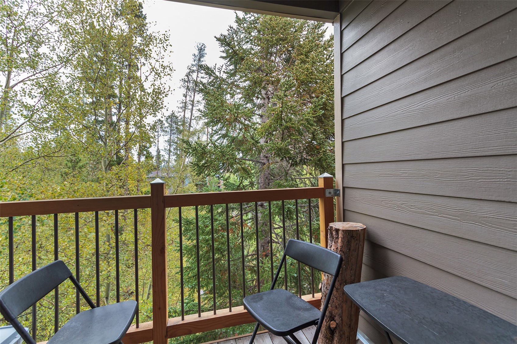 8100 Ryan Gulch Road Silverthorne CO 80498