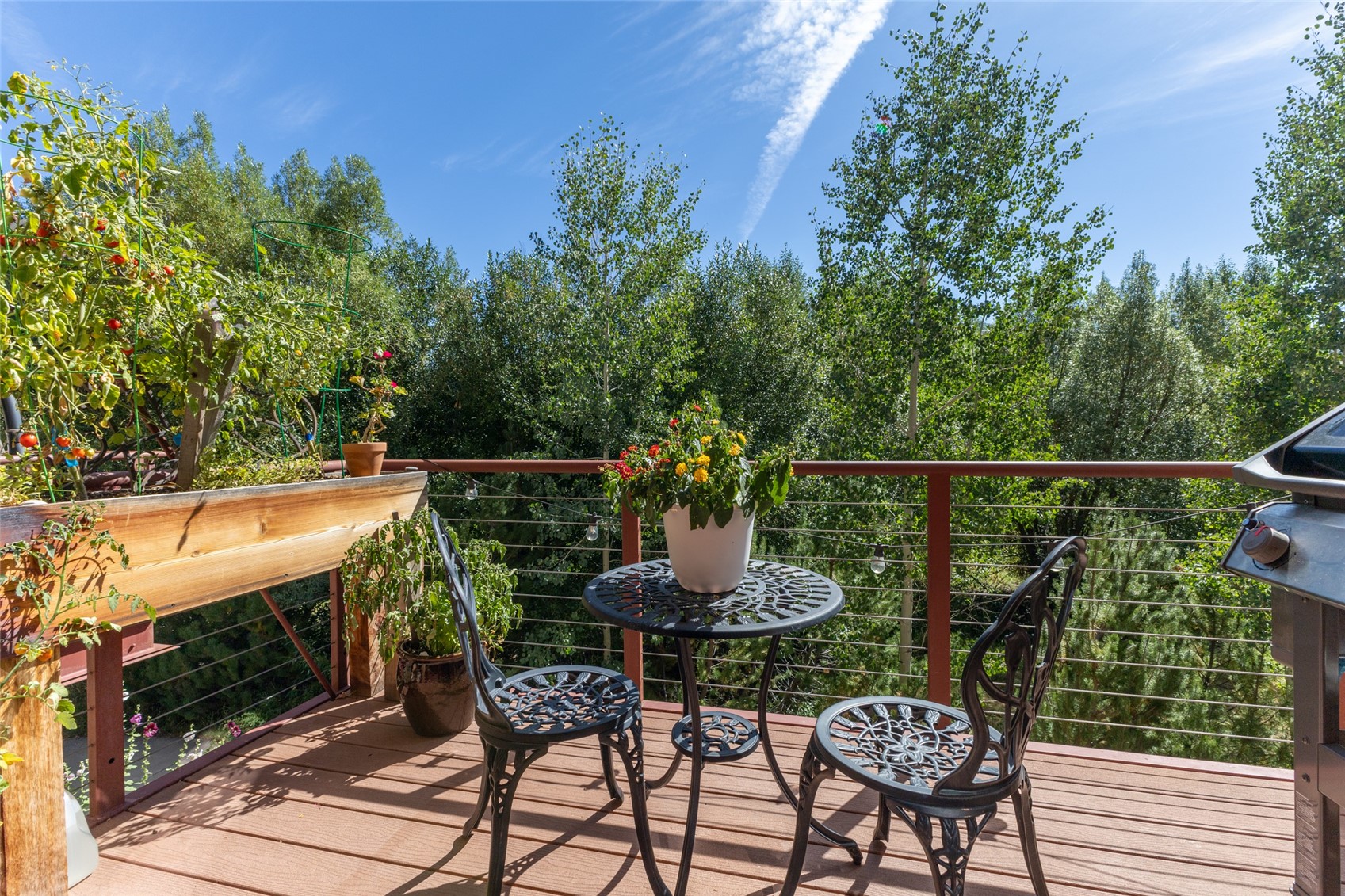 917 Majestic Circle Steamboat Springs CO 80487