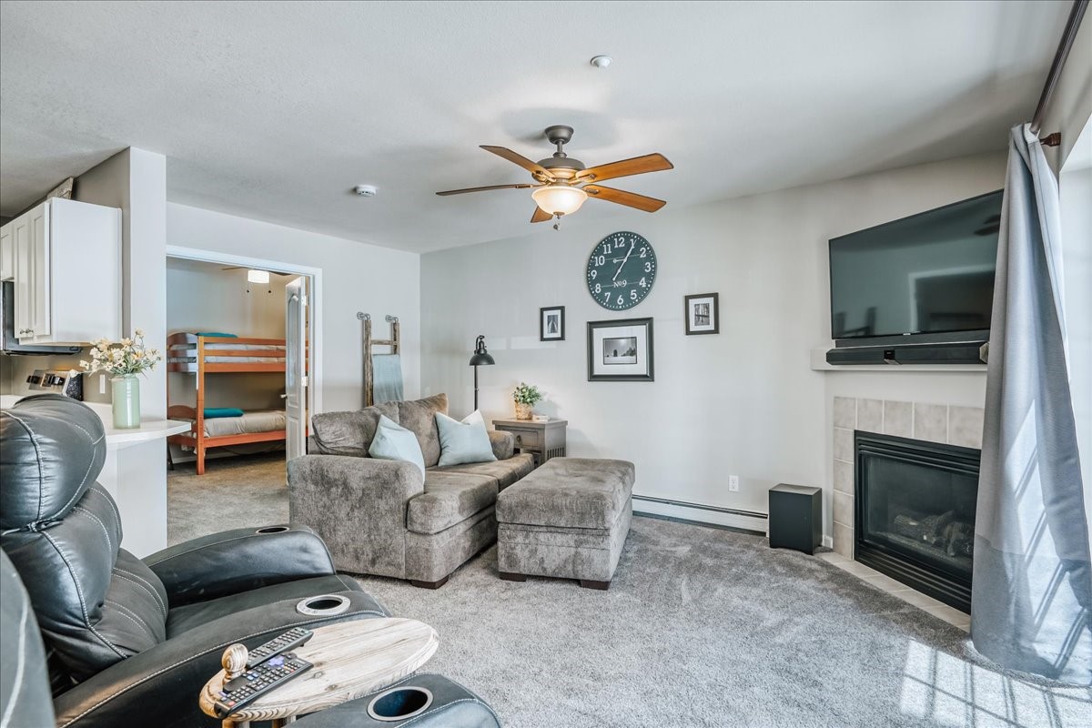 203 Pelican Circle Breckenridge CO 80424