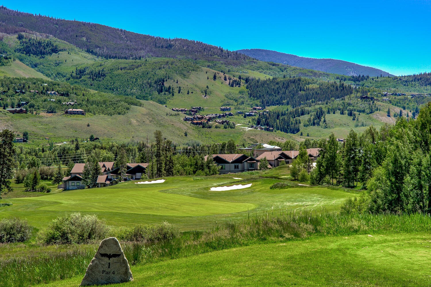 293 Kestrel Lane Silverthorne CO 80498