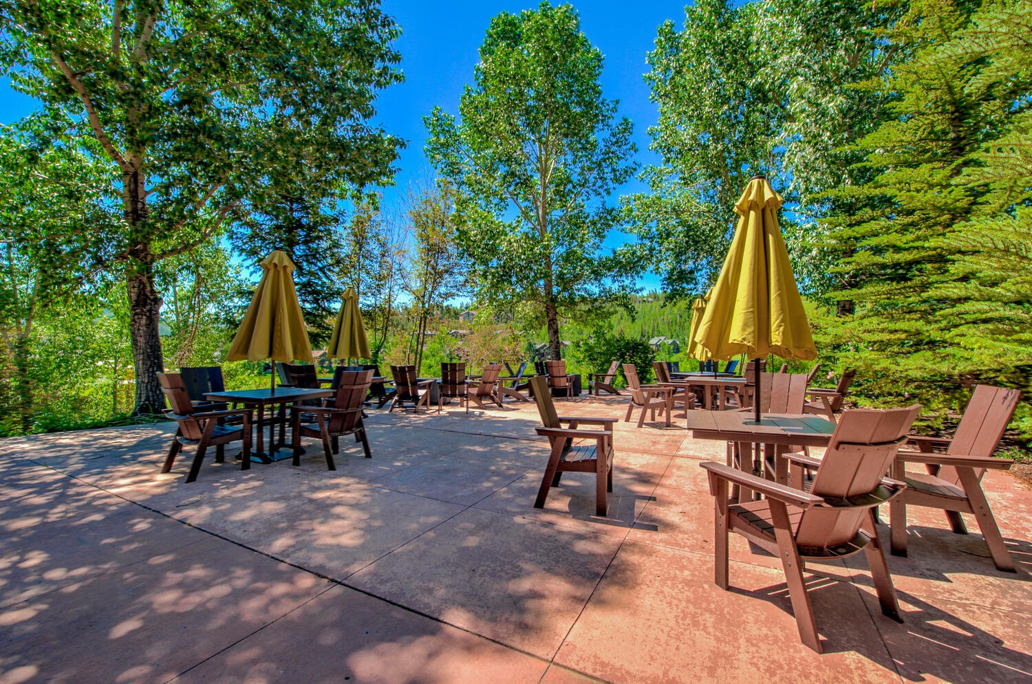 293 Kestrel Lane Silverthorne CO 80498