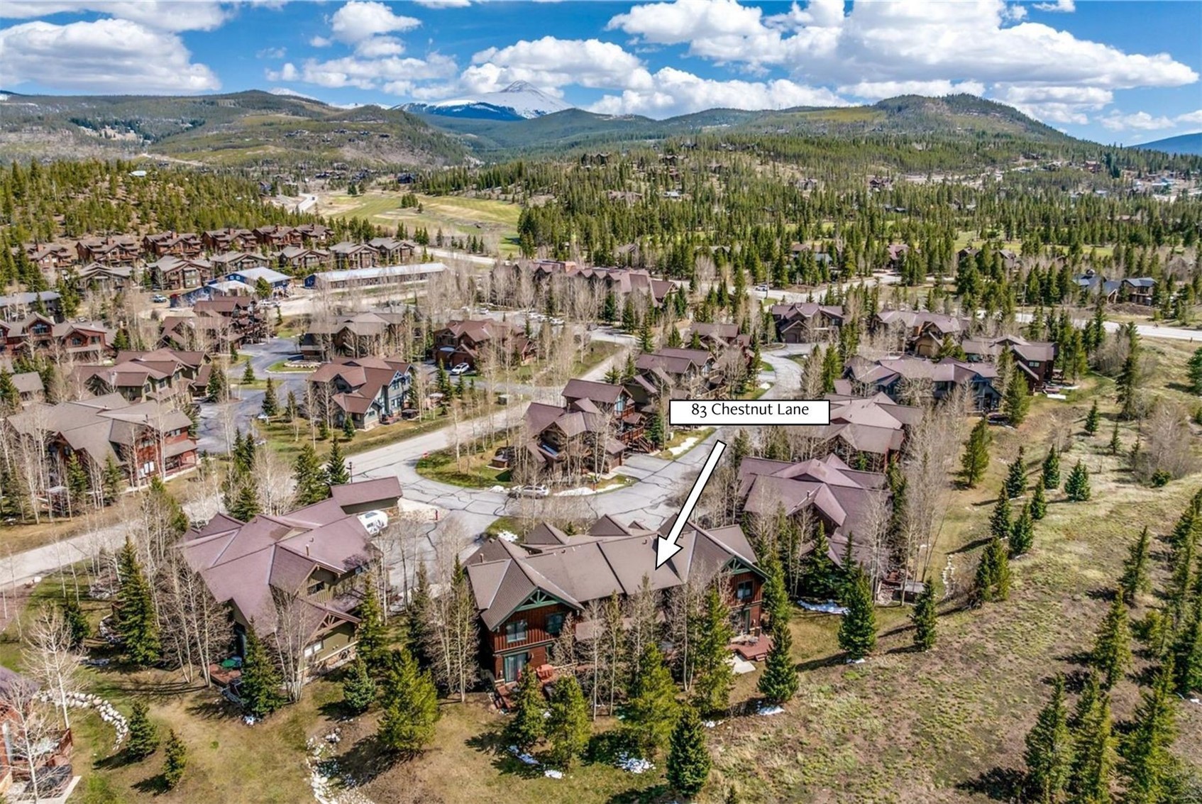 83 Chestnut Lane Breckenridge CO 80424