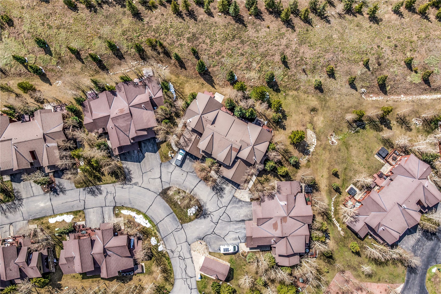 83 Chestnut Lane Breckenridge CO 80424