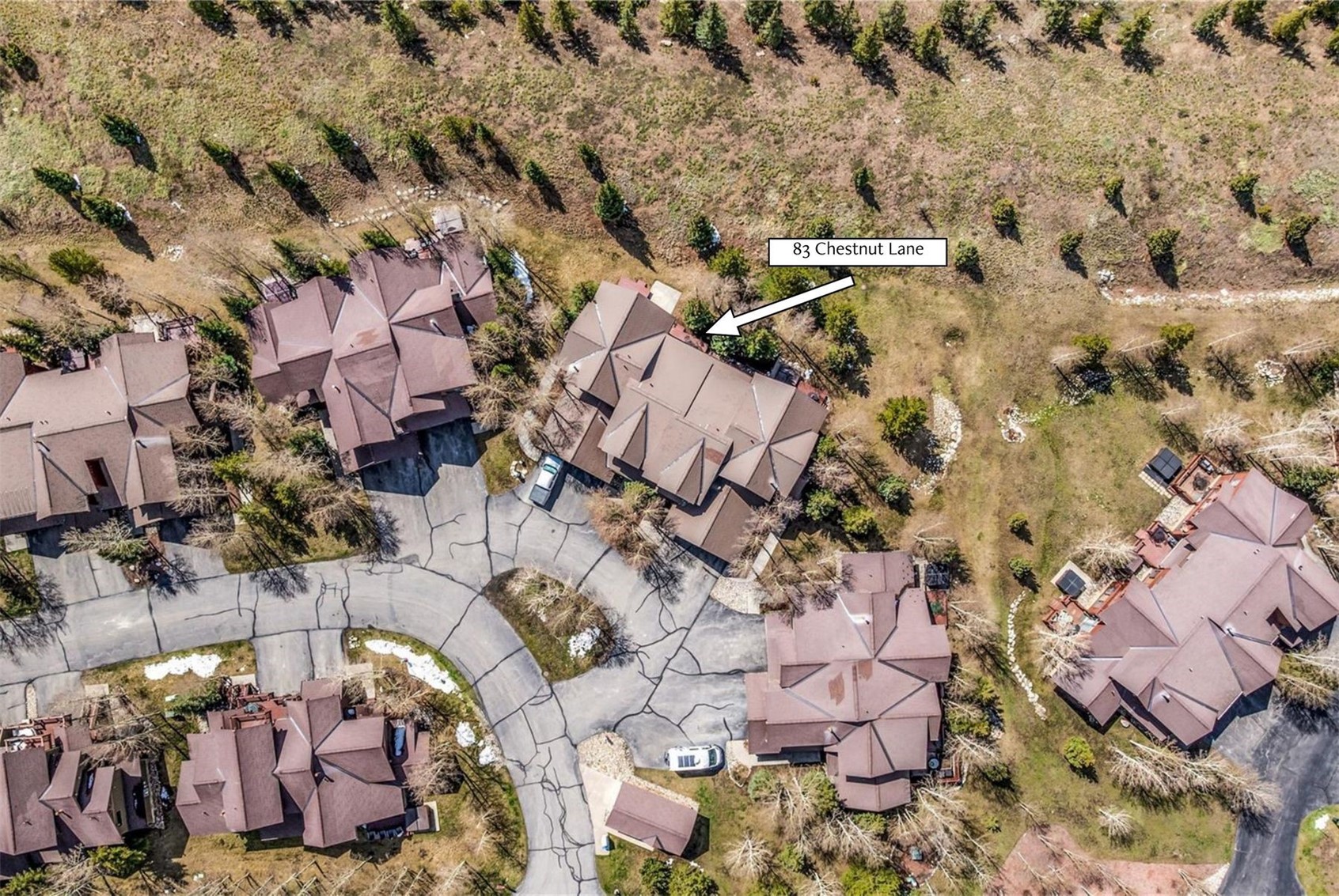 83 Chestnut Lane Breckenridge CO 80424