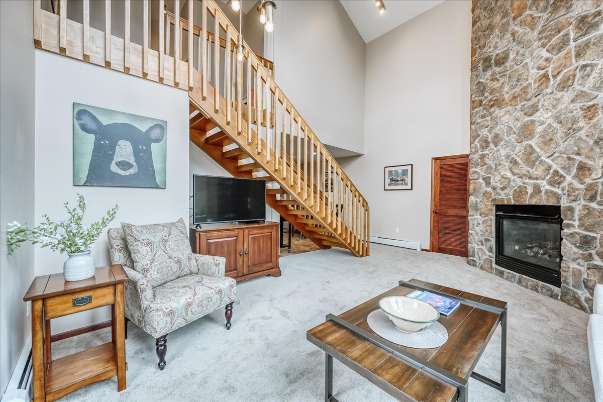 3710 Ryan Gulch Road Silverthorne CO 80498