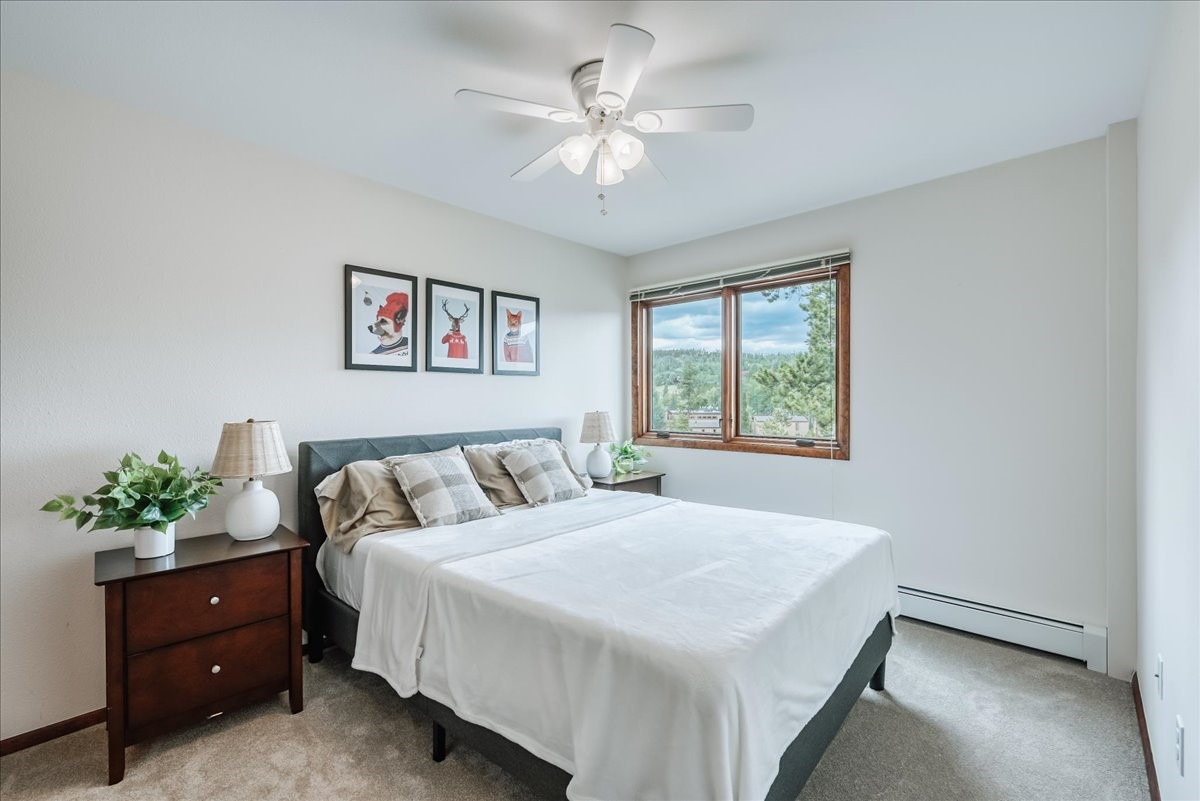 3710 Ryan Gulch Road Silverthorne CO 80498