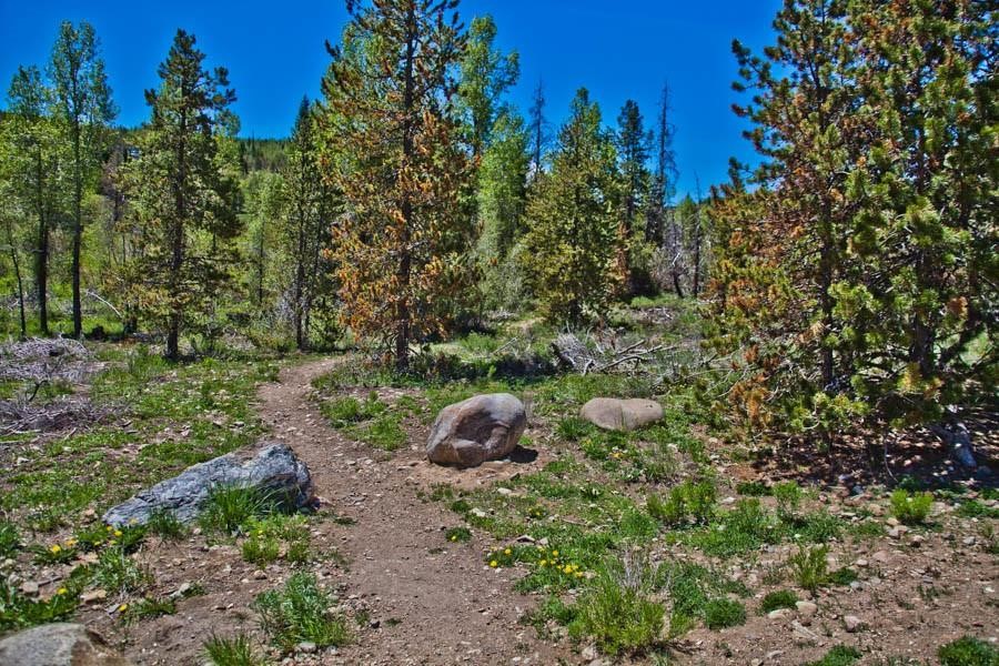 3710 Ryan Gulch Road Silverthorne CO 80498