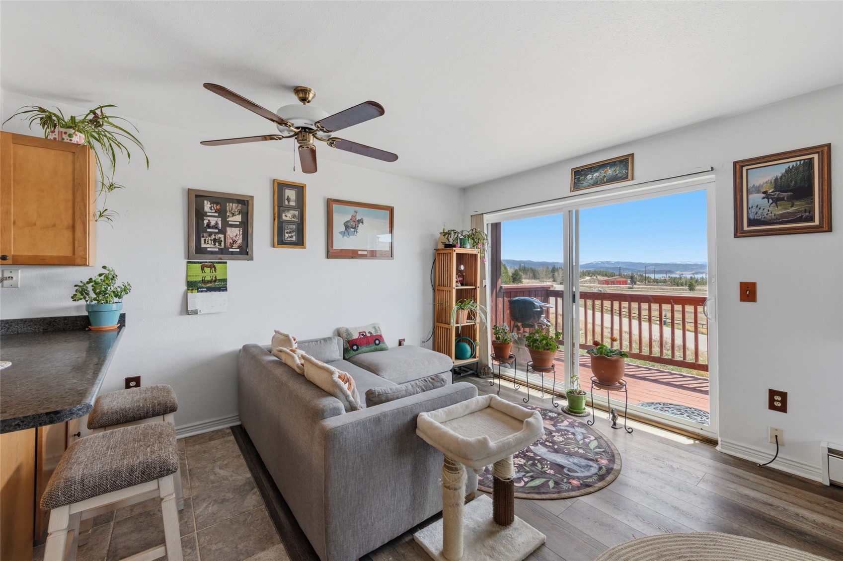 228 GCR 442 Grand Lake CO 80447