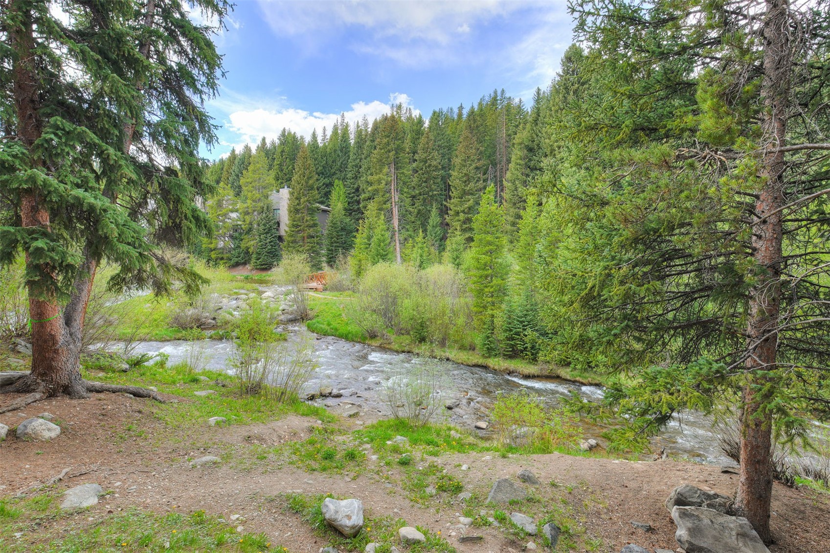 805 Columbine Road Breckenridge CO 80424