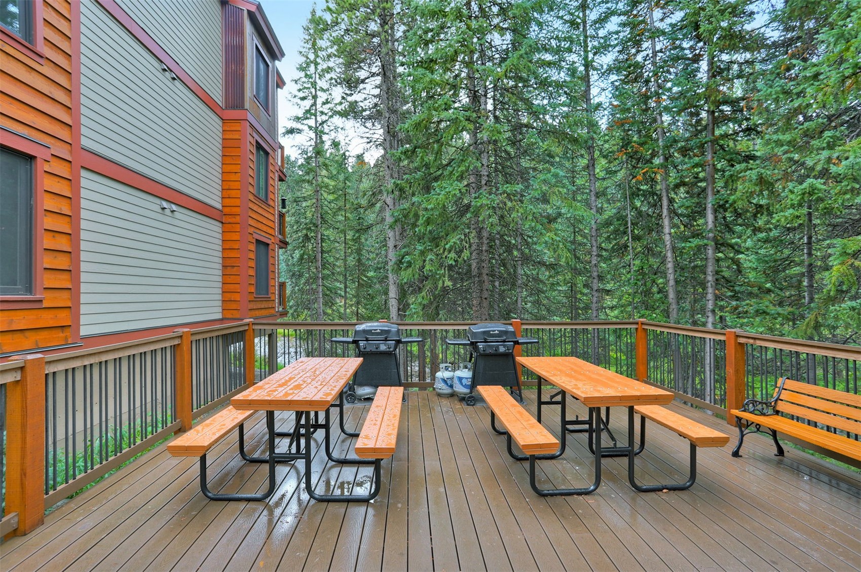 805 Columbine Road Breckenridge CO 80424