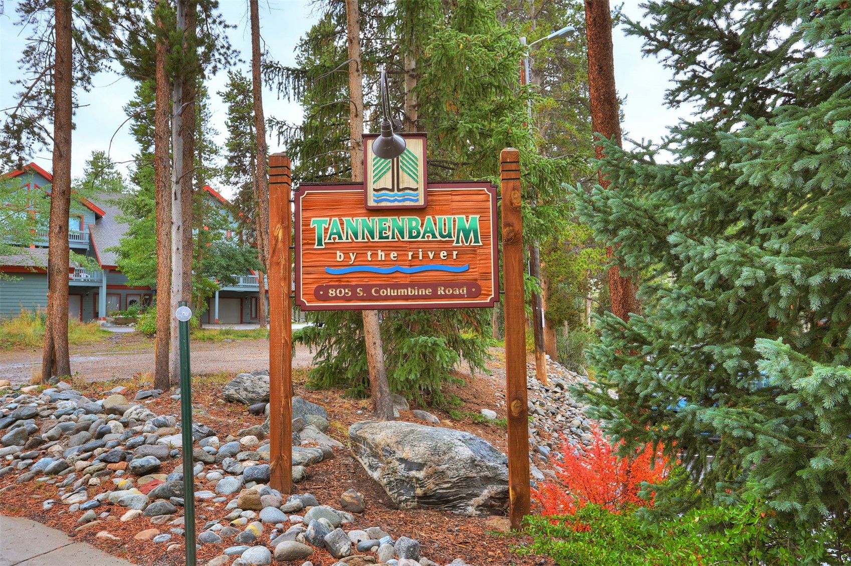 805 Columbine Road Breckenridge CO 80424