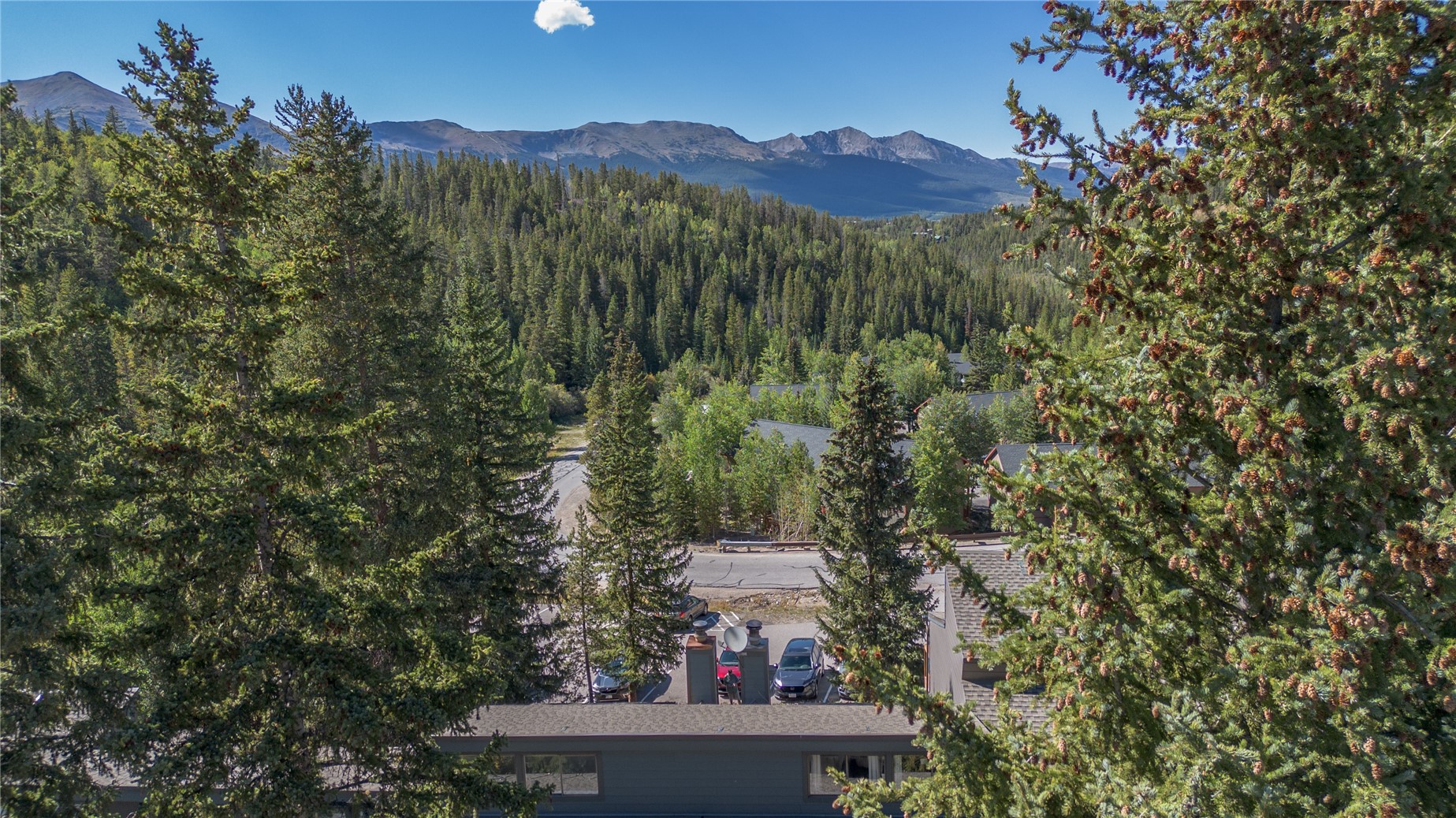 265 Illinois Gulch Road Breckenridge CO 80424