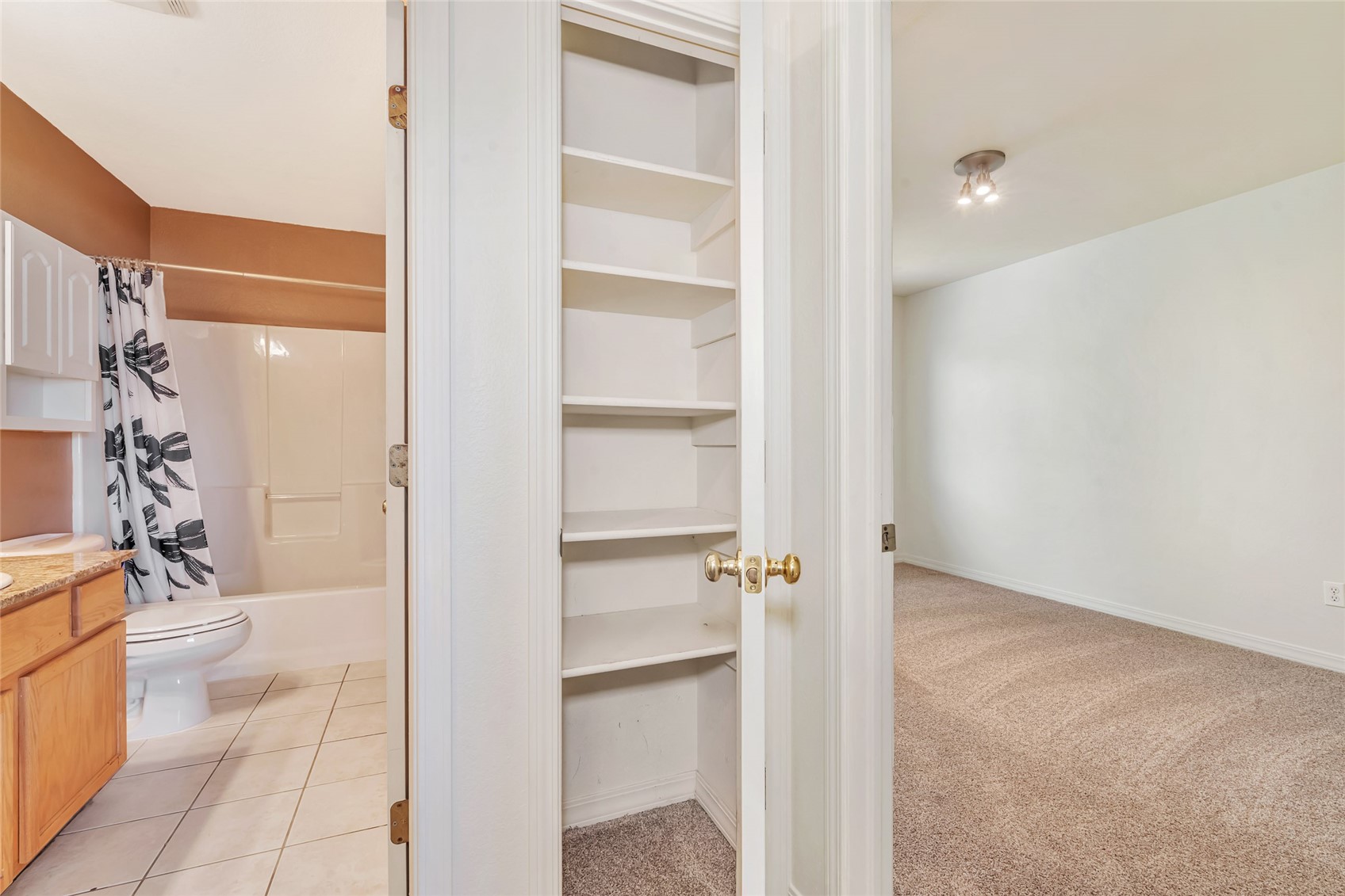 264 Harvest Drive Hayden CO 81639
