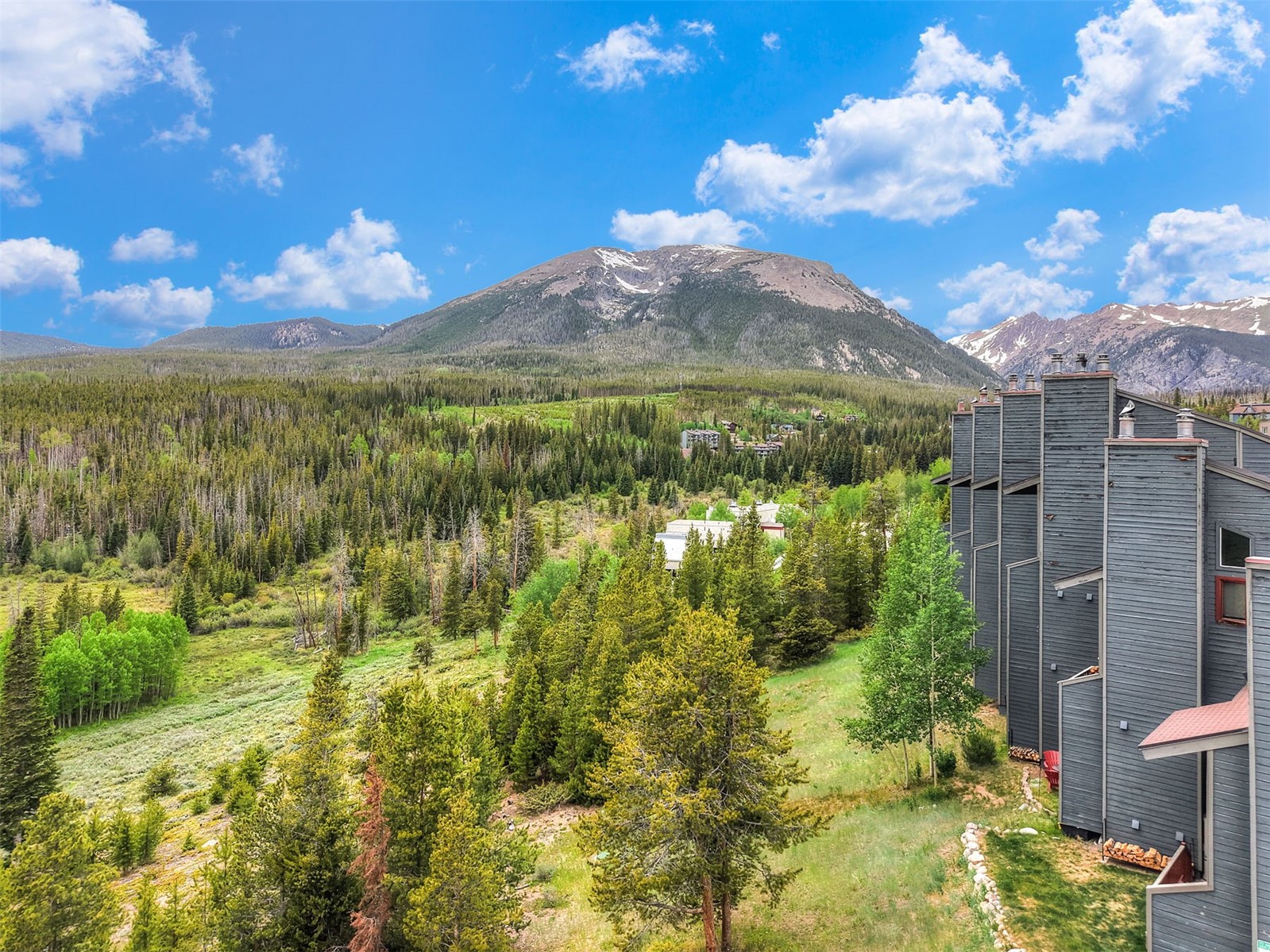 9460 Ryan Gulch Road Silverthorne CO 80498