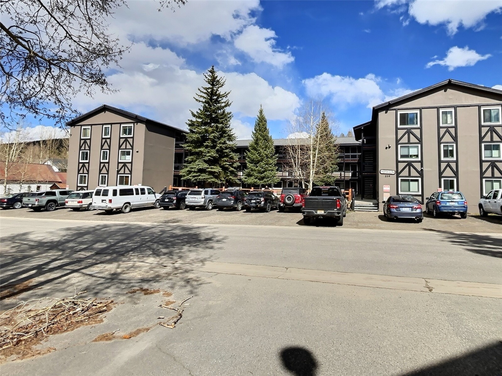 214 S Harris Street Breckenridge CO 80424