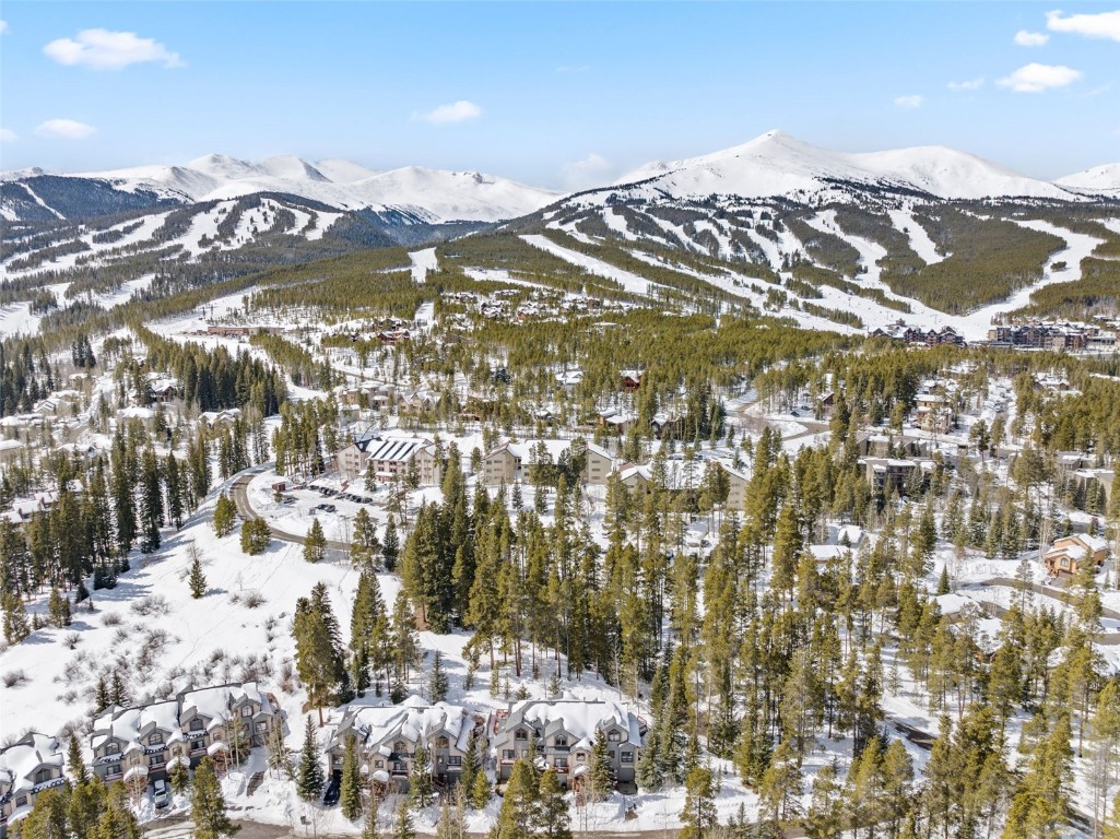 31 Tall Pines Drive Breckenridge CO 80424