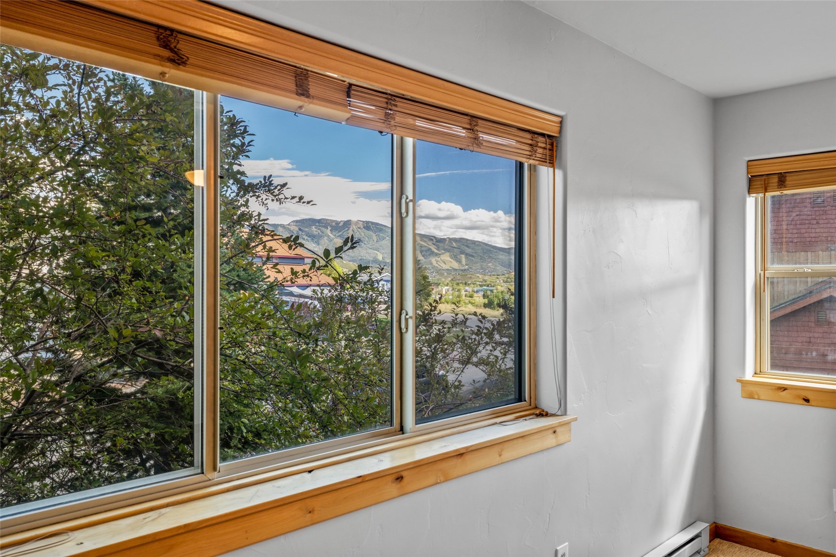 2350 Abbey Court Steamboat Springs CO 80487