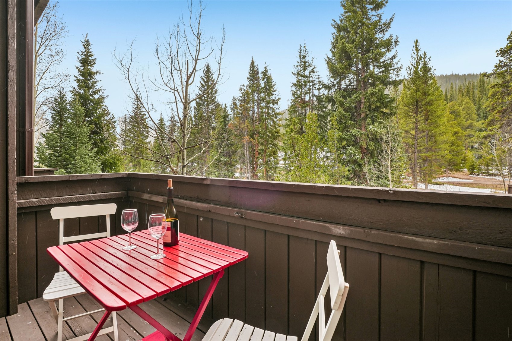 78 Guller Road Copper Mountain CO 80443