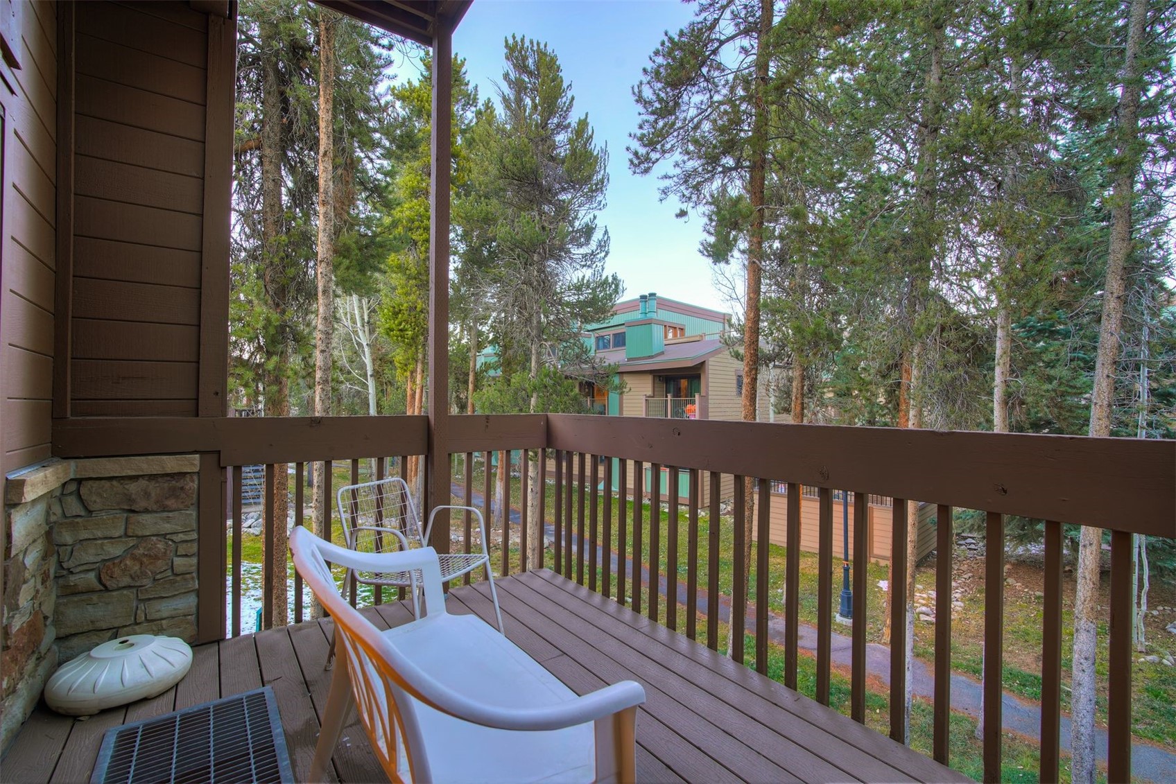 270 Primrose Path Breckenridge CO 80424