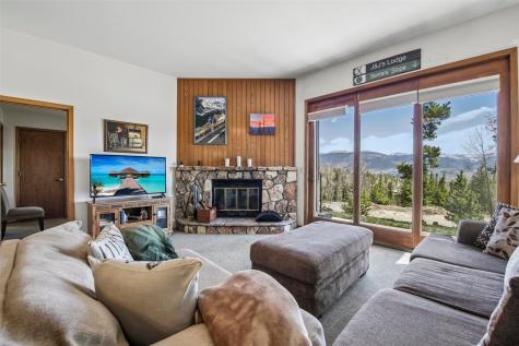 89310 Ryan Gulch Road Silverthorne CO 80498