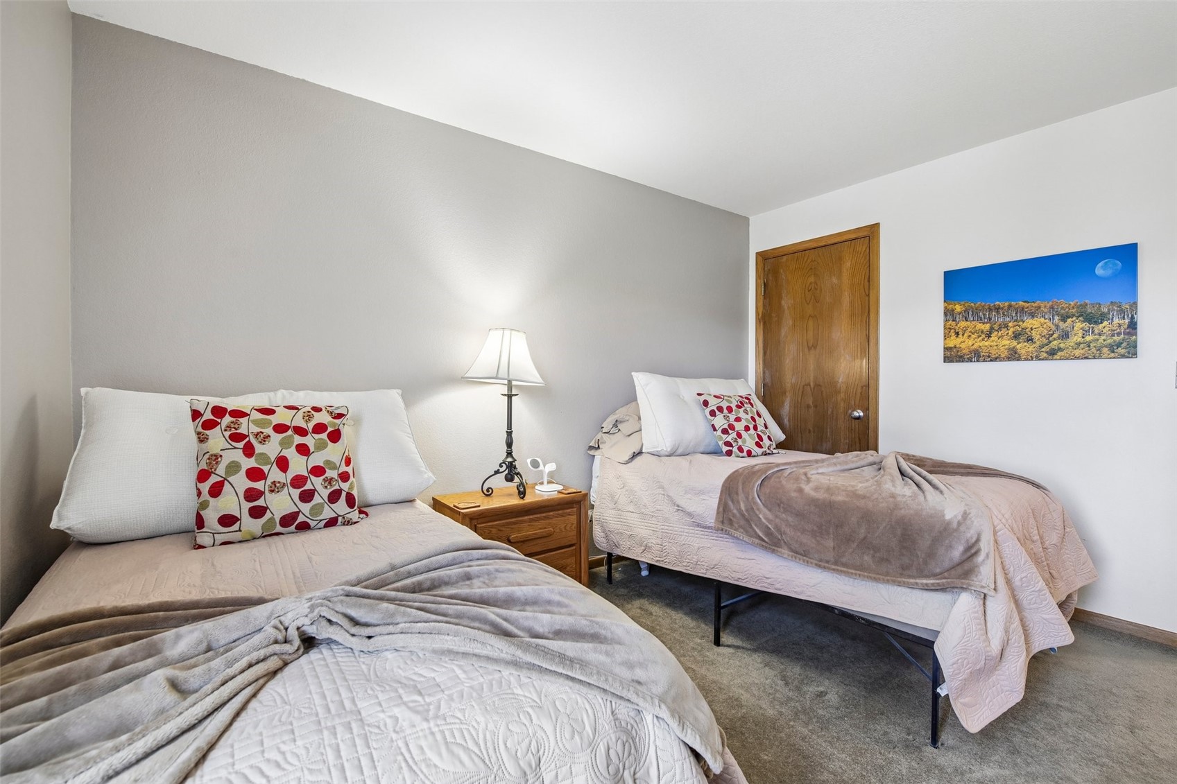 89310 Ryan Gulch Road Silverthorne CO 80498