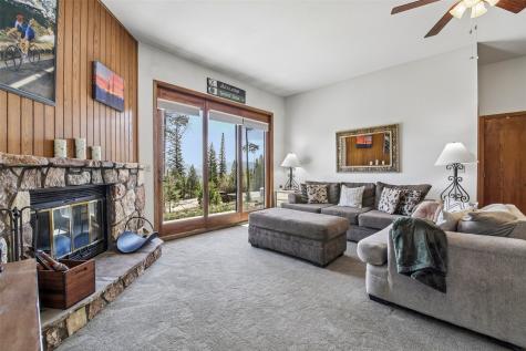 89310 Ryan Gulch Road Silverthorne CO 80498