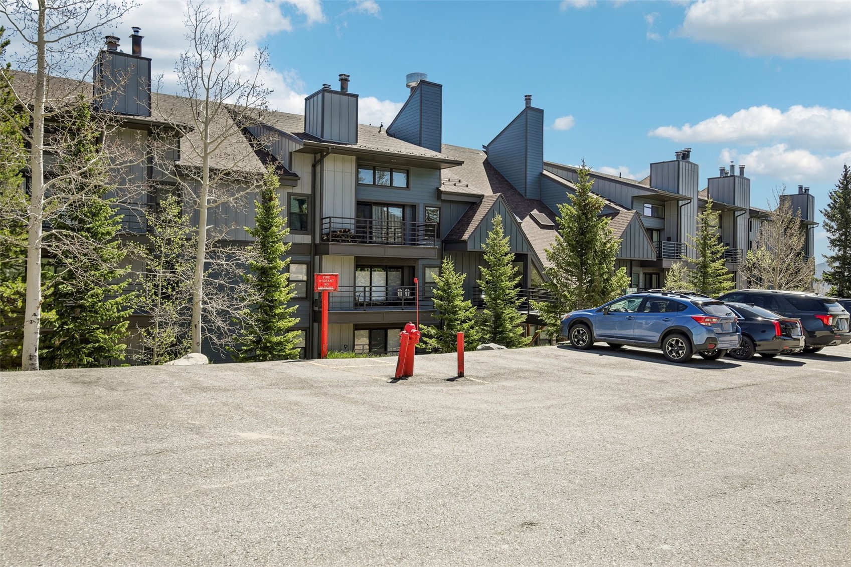 89310 Ryan Gulch Road Silverthorne CO 80498