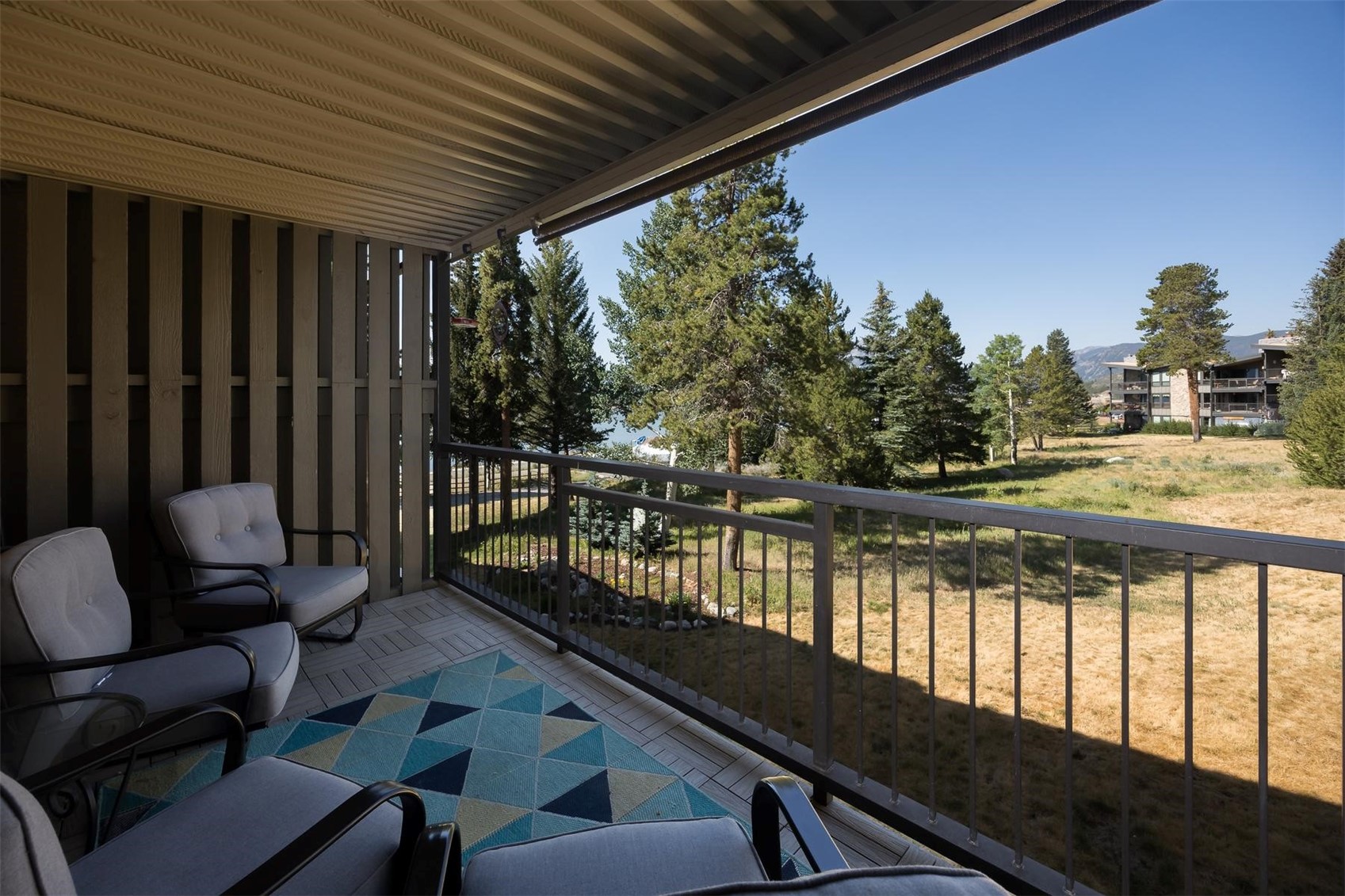 176 E La Bonte Street Dillon CO 80435