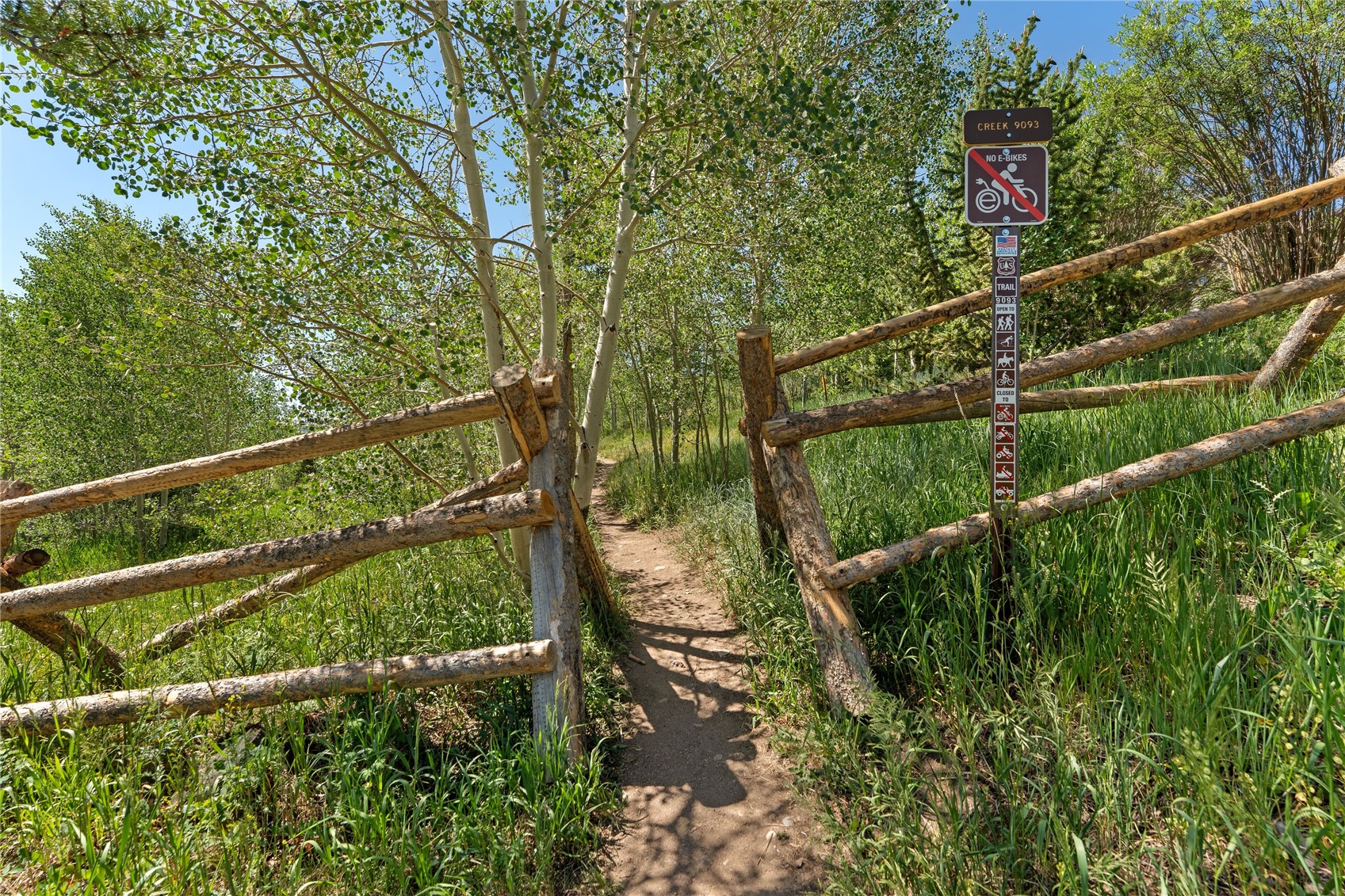 7324 Ryan Gulch Road Silverthorne CO 80498