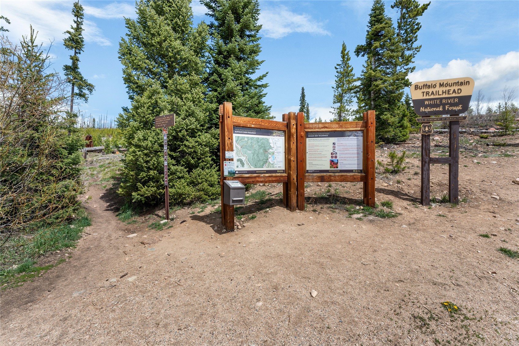 7324 Ryan Gulch Road Silverthorne CO 80498