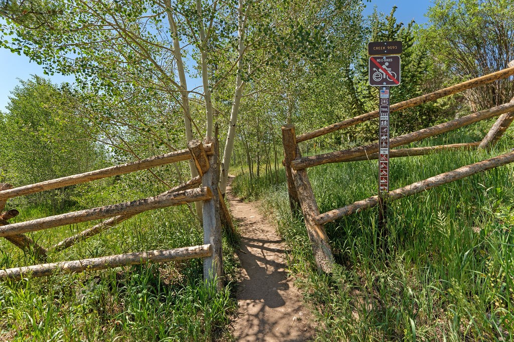 7324 Ryan Gulch Road Silverthorne CO 80498