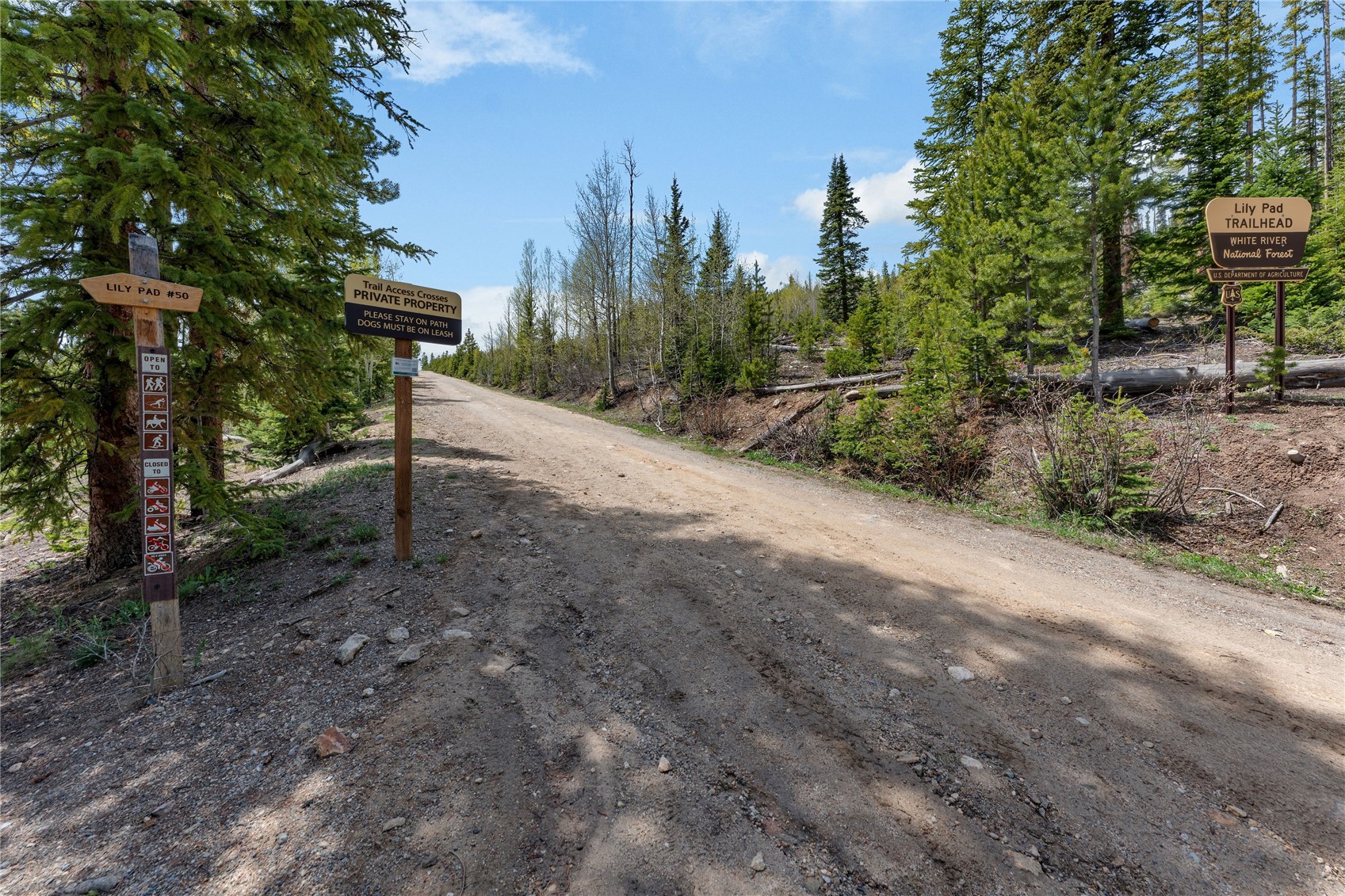 7324 Ryan Gulch Road Silverthorne CO 80498