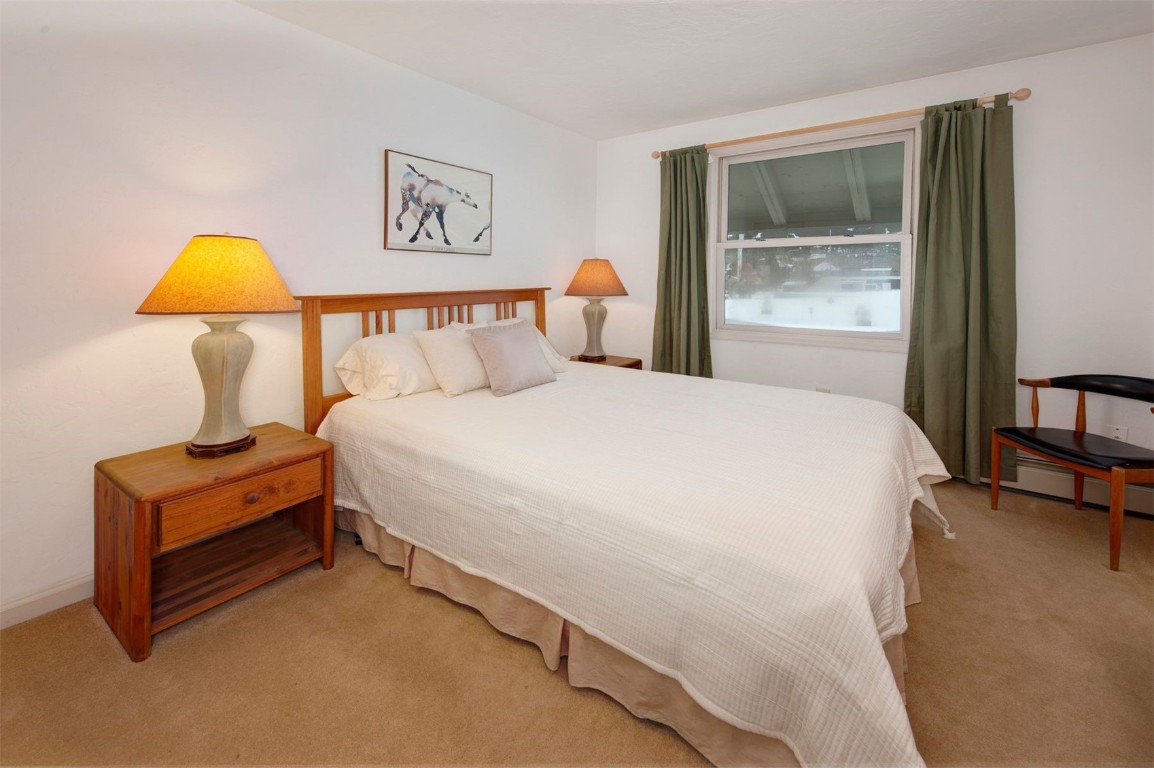 311 S High Street Breckenridge CO 80424