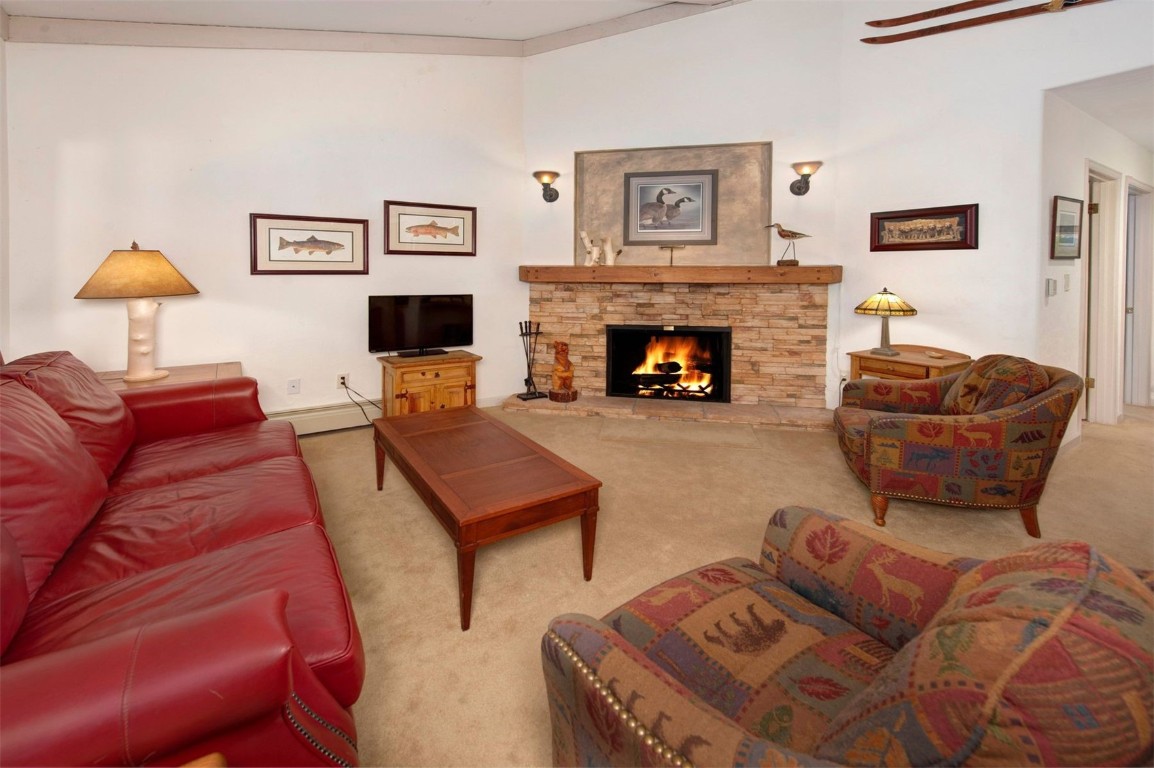 311 S High Street Breckenridge CO 80424