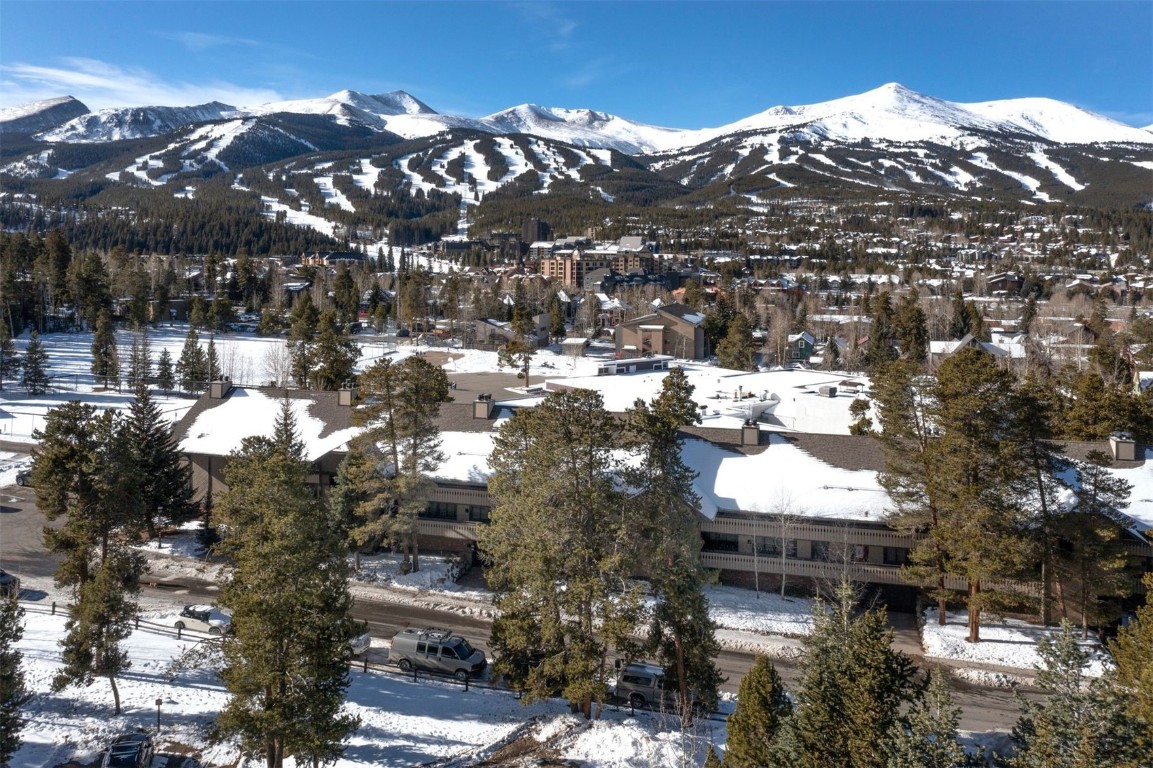 311 S High Street Breckenridge CO 80424