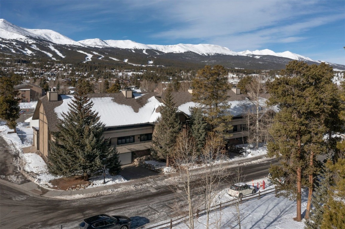 311 S High Street Breckenridge CO 80424