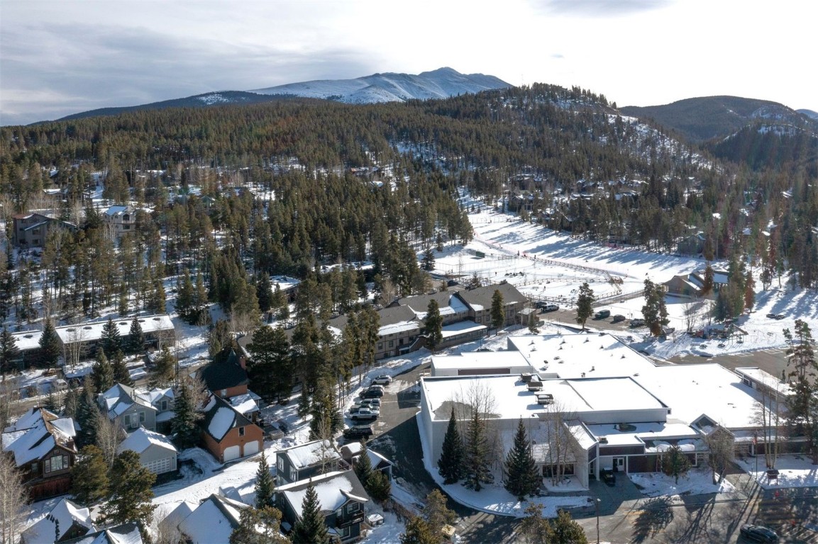 311 S High Street Breckenridge CO 80424