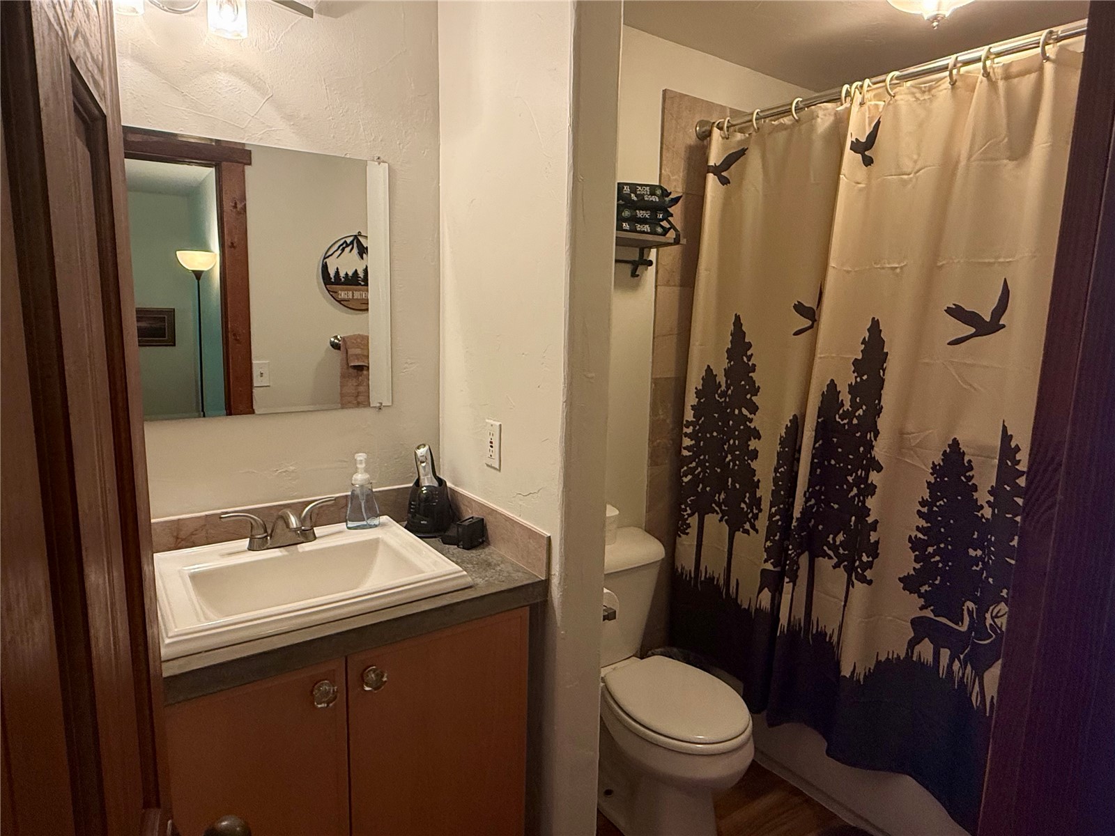 23130 Schussmark Trail Oak Creek CO 80467