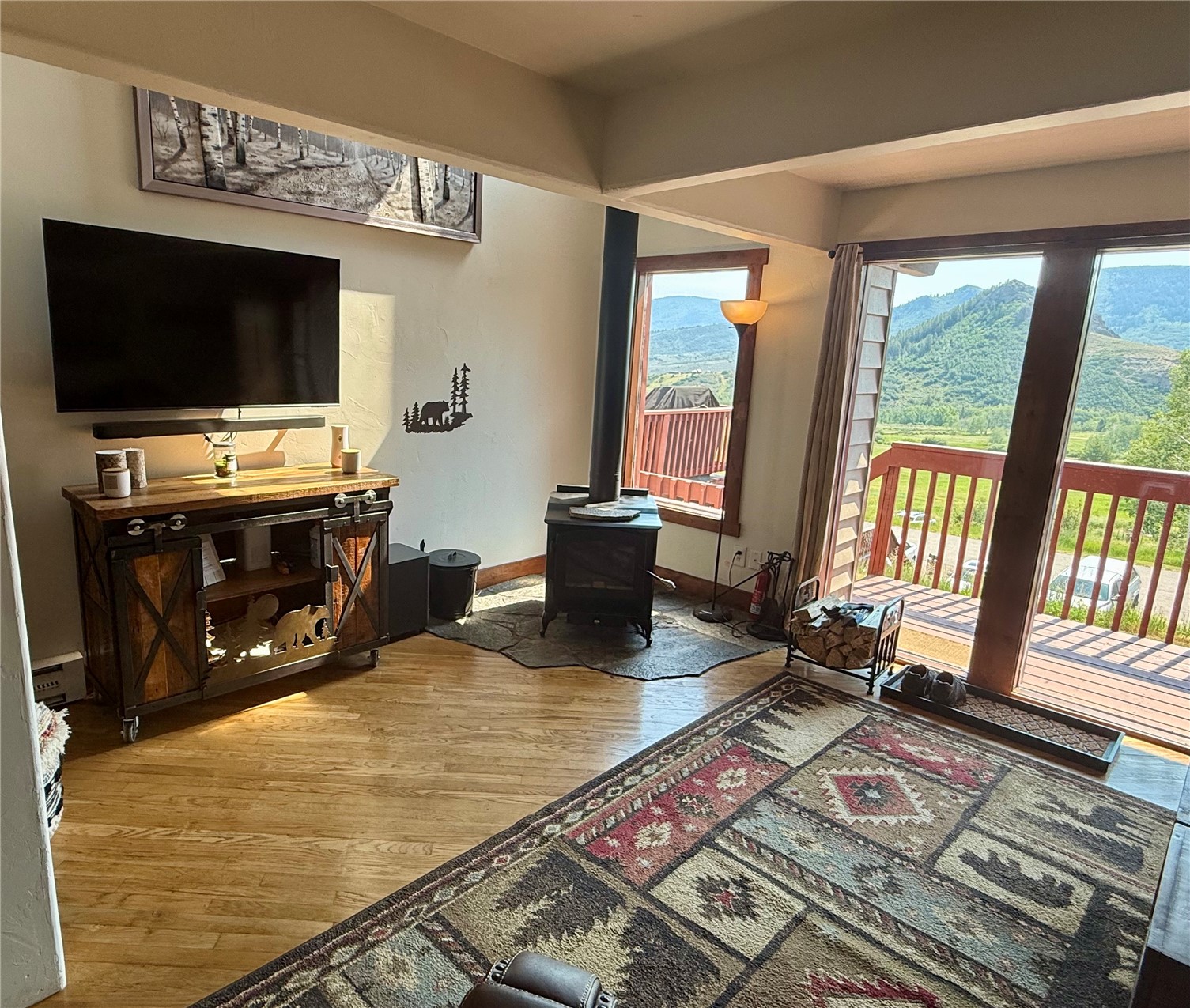 23130 Schussmark Trail Oak Creek CO 80467