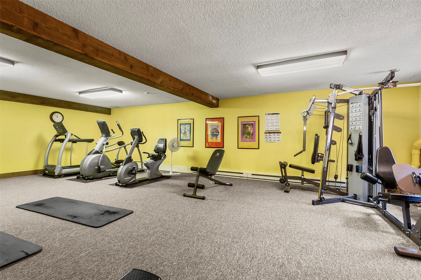 37 Tally Ho Court Dillon CO 80435