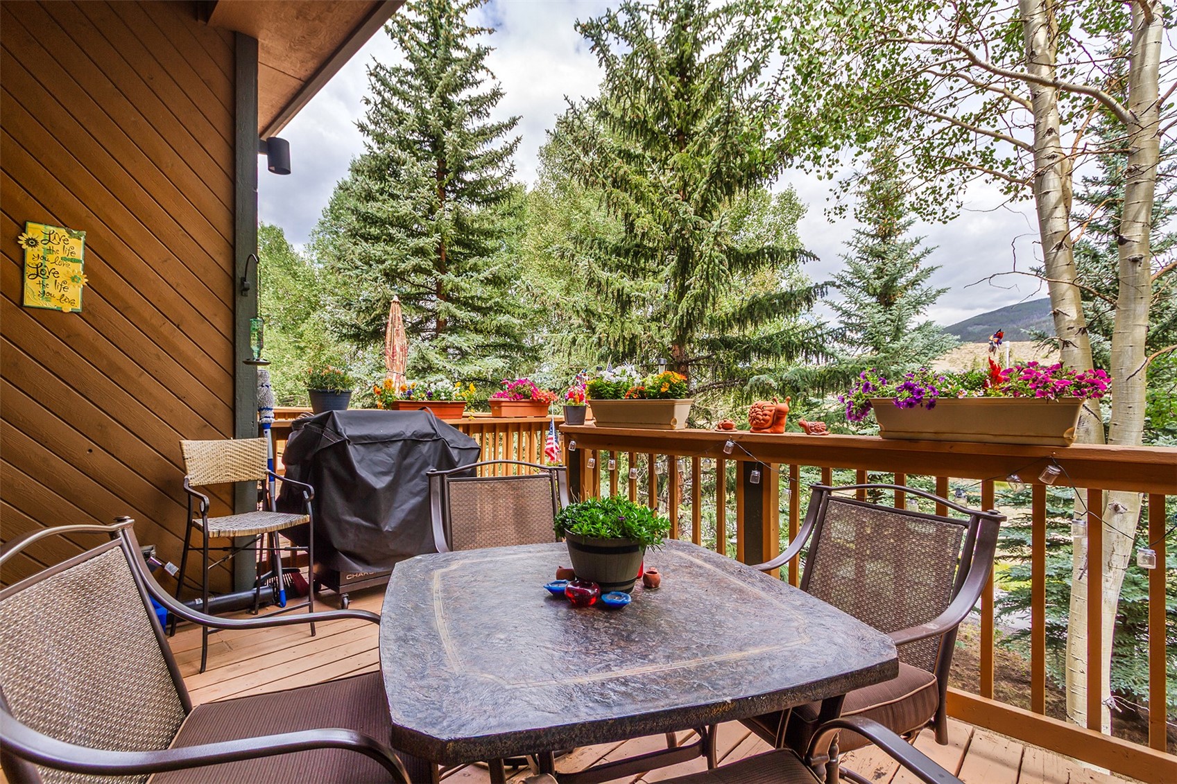 37 Tally Ho Court Dillon CO 80435