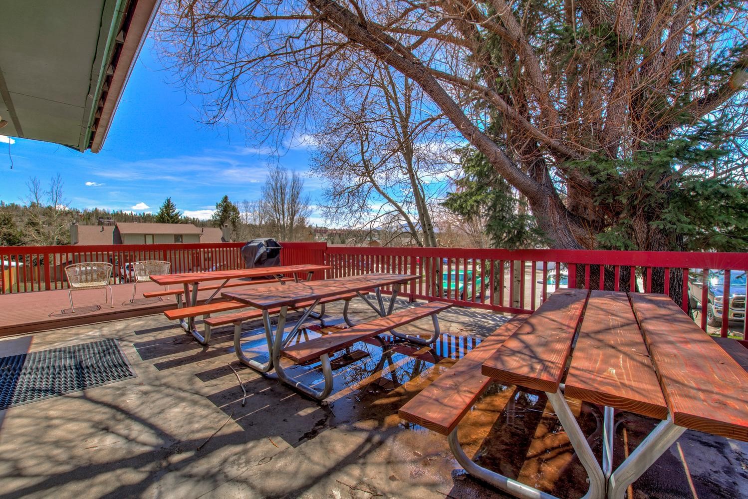 515 Straight Creek Drive Dillon CO 80435
