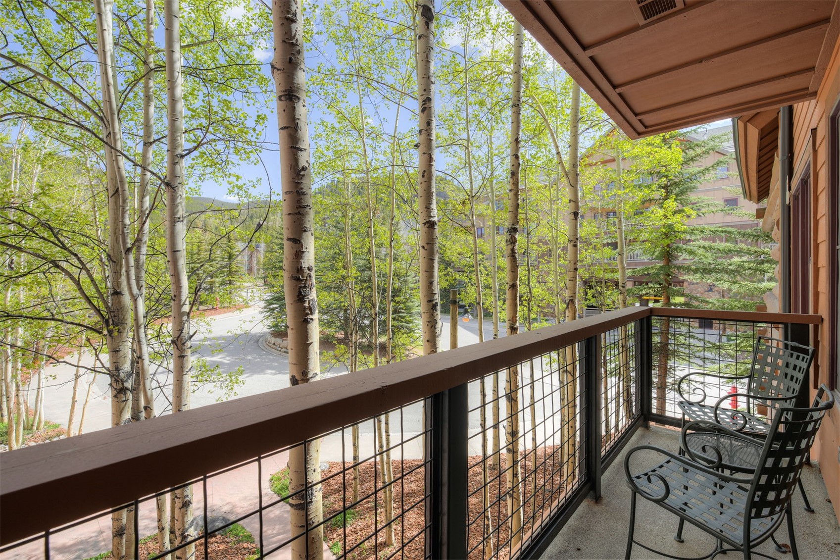 53 Hunki Dori Court Keystone CO 80435