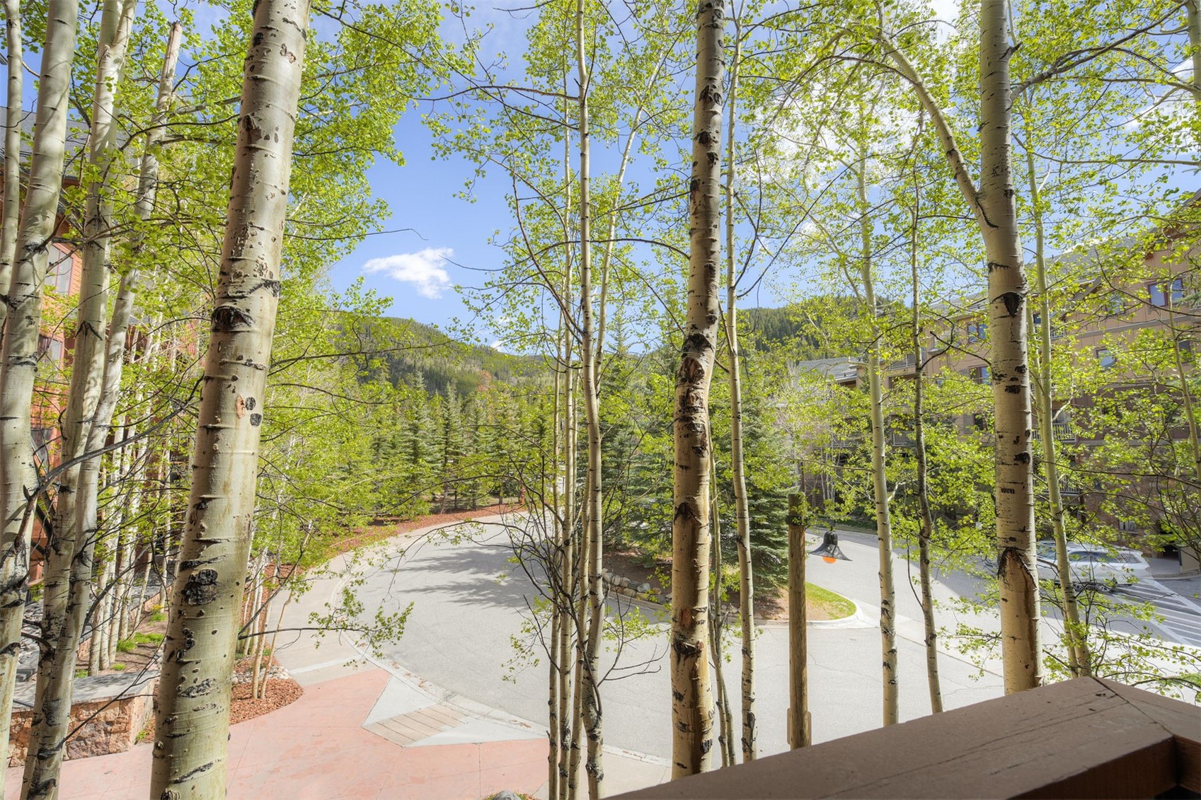 53 Hunki Dori Court Keystone CO 80435